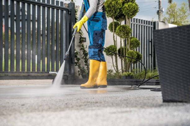 Best Deck Cleaning Services  in Richwood, WV